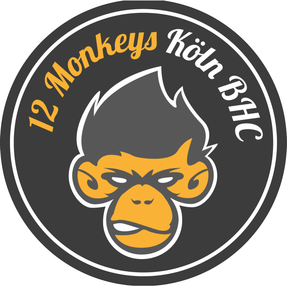 12 Monkeyladies
